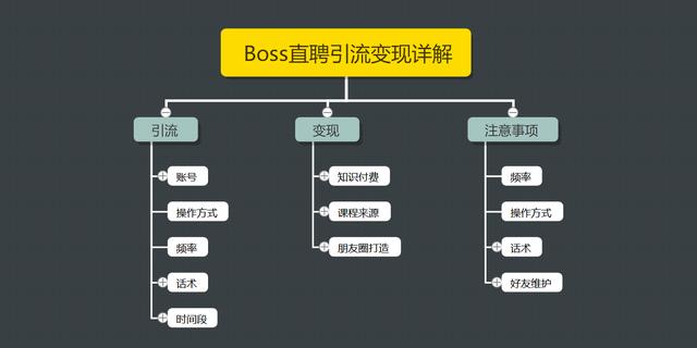 王半圈：Boss直聘引流变现详解，让网络赚钱更简单!【视频课程】-生财有道