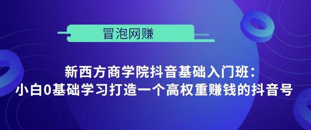 新西方商学院抖音基础入门班：小白0基础学习打造一个高权重赚钱的抖音号-生财有道