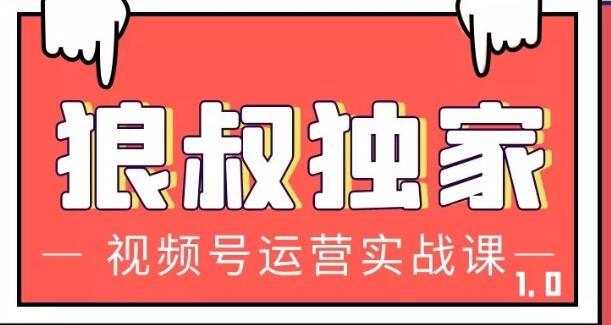 狼叔视频号运营实战课，带你深度入手微信视频号1.0，从0粉丝开始快速涨粉变现-生财有道