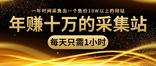 年赚十万的采集站，每天1小时，一年采集出一个售价10W的网站（无水印）-生财有道