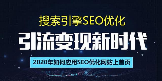 SEO搜索引擎优化总监实战VIP课堂【透析2020最新案例】快速实现年新30w(第9期)-生财有道