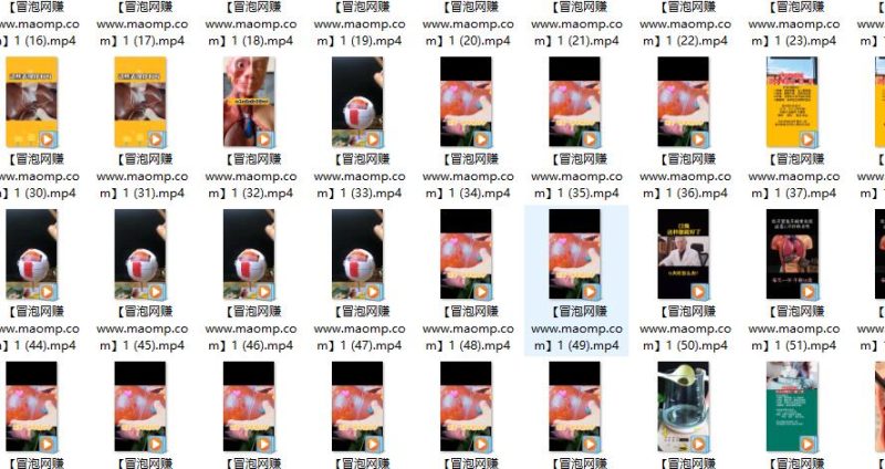 白狼敢死队3月最新（起号涨粉、带货变现、资源提供）附最新茶素材-生财有道