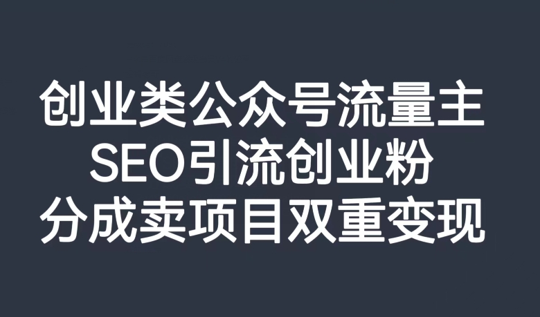 创业类公众号流量主，SEO引流创业粉，分成卖项目双重变现【揭秘】-生财有道