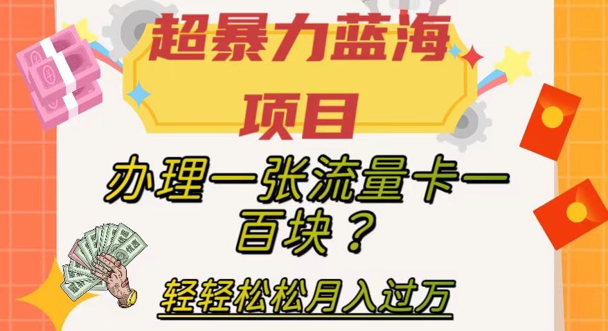 超暴力蓝海项目，办理一张流量卡一百块？轻轻松松月入过万，保姆级教程【揭秘】-生财有道