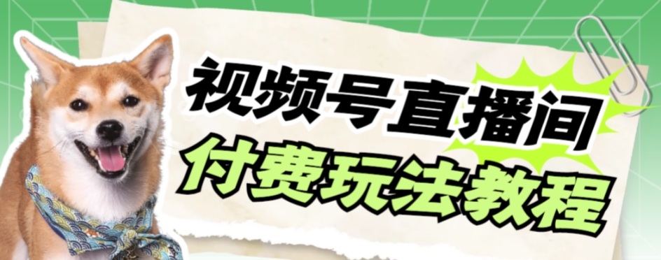 视频号美女付费无人直播，轻松日入500+【详细玩法教程】-生财有道