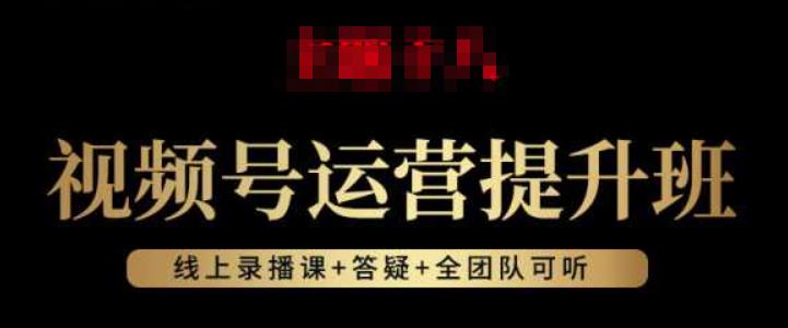 视频号运营提升班：视频号起号逻辑，视频号选品技巧及带货-生财有道