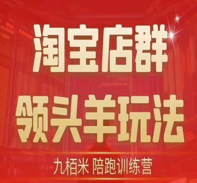 九栢米-淘宝店群领头羊玩法，教你整个淘宝店群领头羊玩法以及精细化/终极蓝海/尾销等内容-生财有道