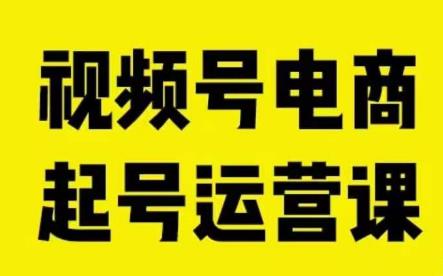 视频号电商起号运营课，教新人如何自然流起号，助力商家0-1突破-生财有道