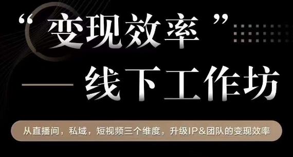 变现效率线下工作坊，从‮播直‬间、私域、‮视短‬频‮个三‬维度，升级IP和团队变现效率-生财有道