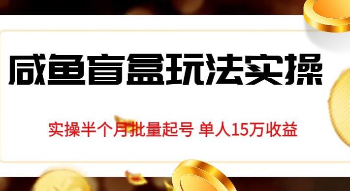 独家首发咸鱼盲盒玩法实操，半个月批量起号单人15万收益【揭秘】-生财有道