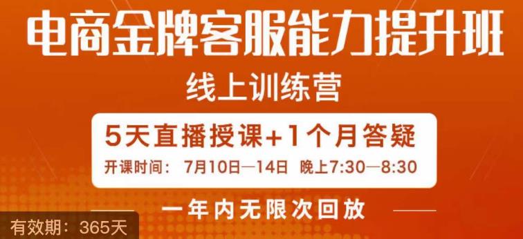 电商金牌客服能力提升班，提升客服能力是你店铺业绩的关键要素-生财有道