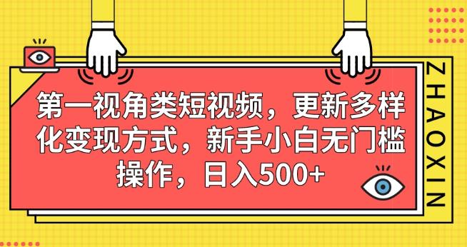 第一视角类短视频，更新多样化变现方式，新手小白无门槛操作，日入500+【揭秘】-生财有道