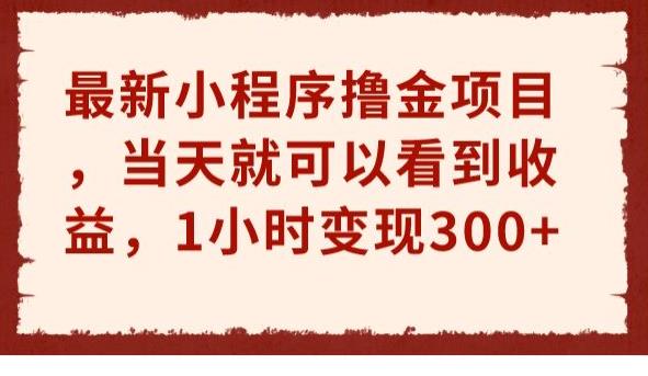 最新小程序撸金项目，当天就可以看到收益，1小时变现300+【揭秘】-生财有道