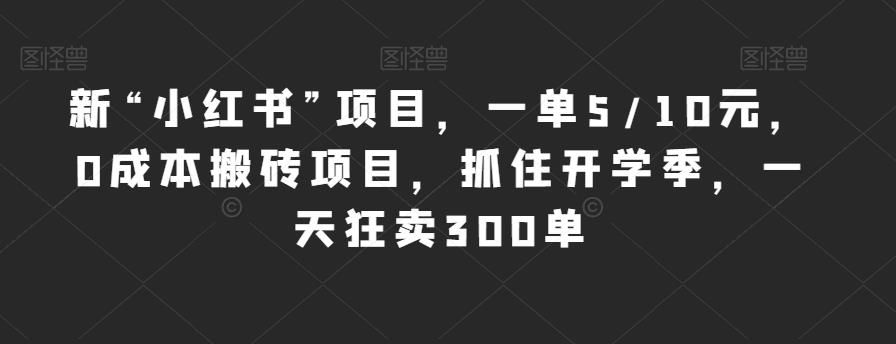 新“小红书”项目，一单5/10元，0成本搬砖项目，抓住开学季，一天狂卖300单【揭秘】-生财有道