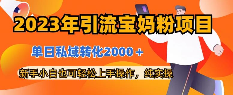 2023年引流宝妈粉项目，单日私域转化2000＋，新手小白也可轻松上手操作，纯实操-生财有道