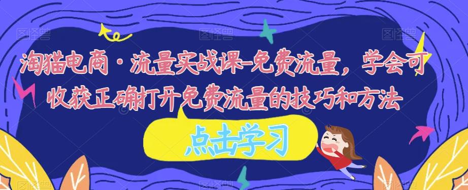 淘猫电商·流量实战课-免费流量，学会可收获正确打开免费流量的技巧和方法-生财有道