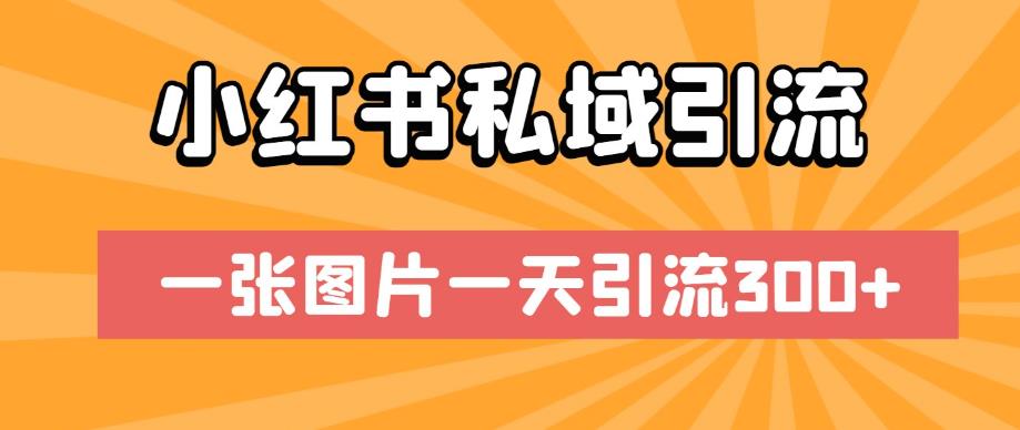 小红书私域引流，一张图片一天引流300+【揭秘】-生财有道