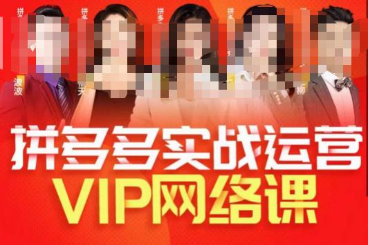推易拼多多VIP全套直播课程，拼多多店铺实操玩法+实战玩法选款内功+直通车高阶等-生财有道