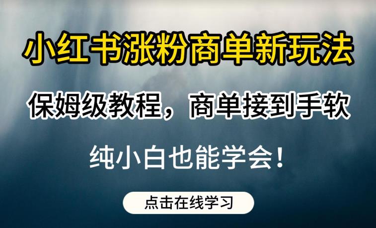 小红书涨粉商单新玩法，保姆级教程，商单接到手软，纯小白也能学会【揭秘】-生财有道