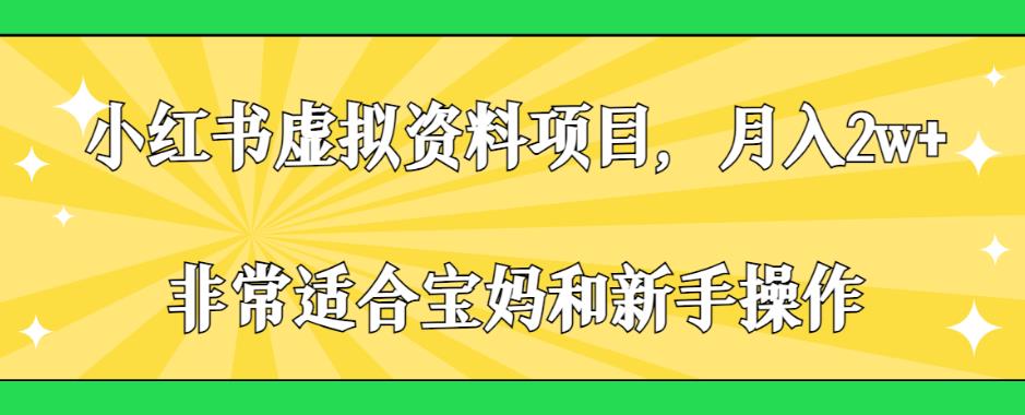 小红书虚拟资料项目，月入2w+，非常适合宝妈和新手操作【揭秘】-生财有道