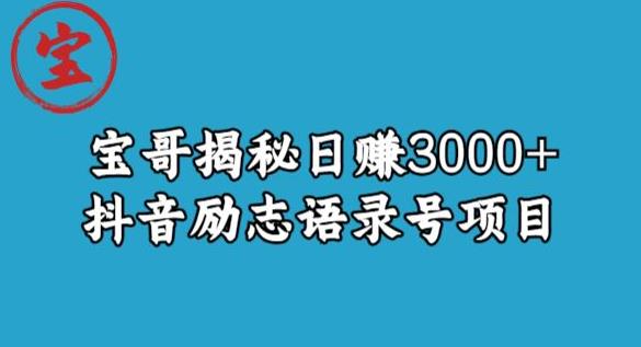 宝哥揭秘日赚3000+抖音励志语录号短视频变现项目-生财有道