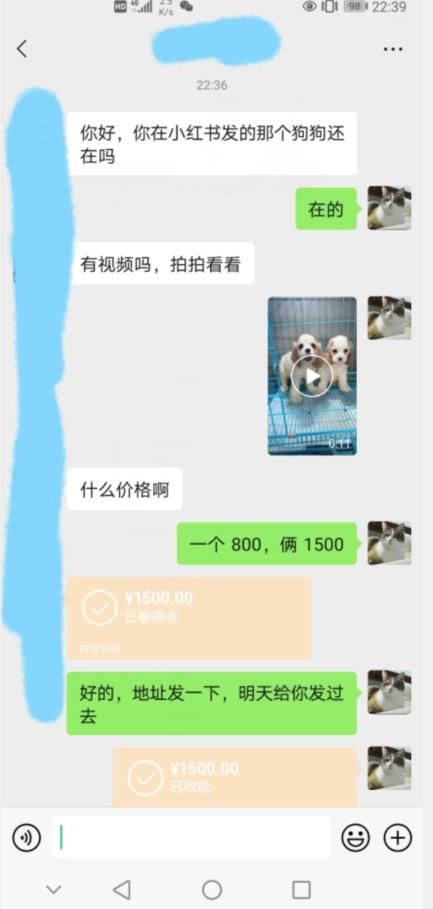 外边收费3980的同城萌宠项目，用最冷门的玩法冲击最热门的市场【揭秘】-生财有道