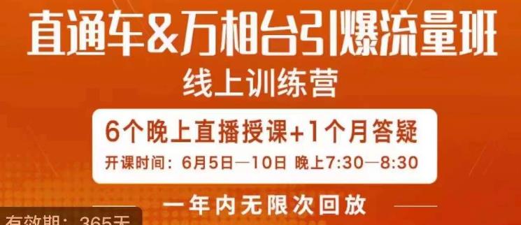 直通车&万相台引爆流量班，6天打通你开直通车·万相台的任督二脉-生财有道