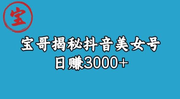 宝哥揭秘抖音美女号玩法，日赚3000+【揭秘】-生财有道