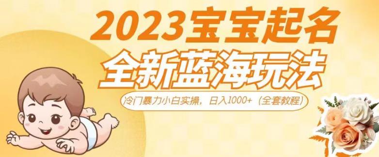 2023宝宝起名全新蓝海玩法，冷门暴力小白实操，日入1000+（全套教程）【揭秘】-生财有道
