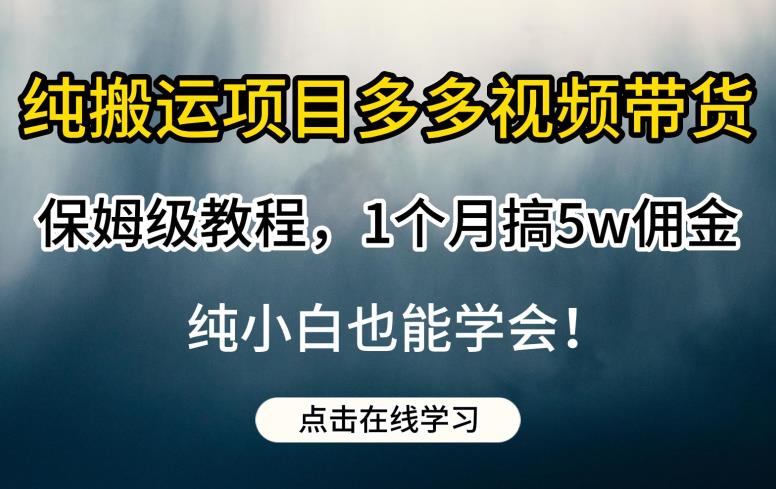 纯搬运项目多多视频带货保姆级教程，1个月搞5w佣金，纯小白也能学会【揭秘】-生财有道