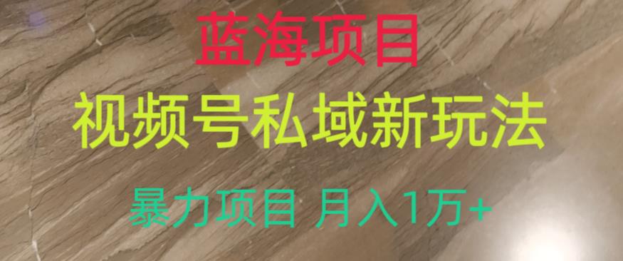 蓝海项目，视频号私域新玩法，暴力项目月入1万+【揭秘】-生财有道