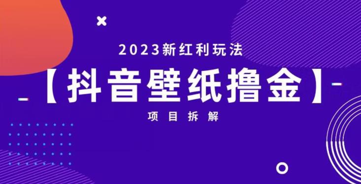 抖音壁纸小程序创作者撸金项目，2023新红利玩法【项目拆解】-生财有道