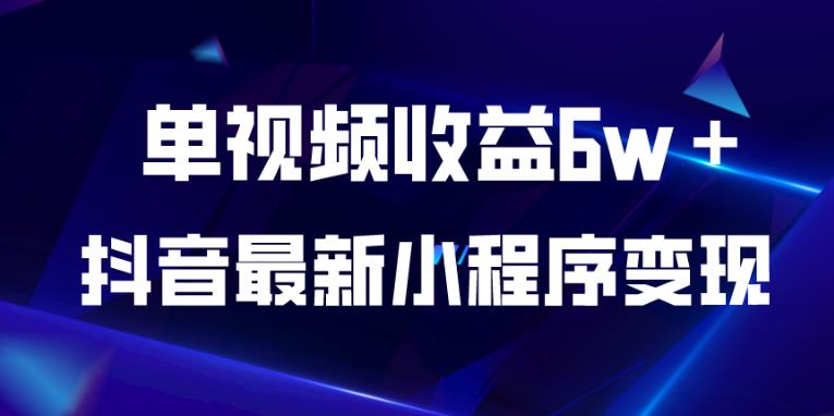 抖音最新小程序变现项目，单视频收益6w＋，小白可做【揭秘】-生财有道