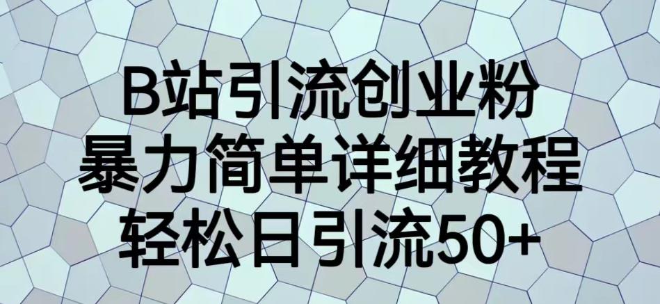 B站引流创业粉，暴力简单详细教程，轻松日引流50+【揭秘】-生财有道