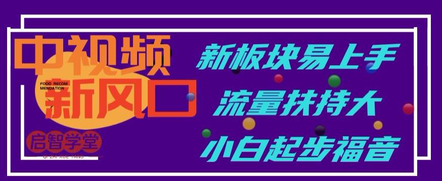中视频新风口，新板块易上手，流量扶持大，小白起步福音【揭秘】-生财有道