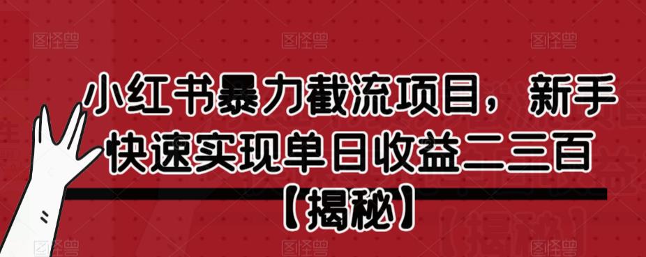 小红书暴力截流项目，新手快速实现单日收益二三百【仅揭秘】-生财有道