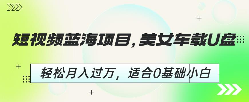 短视频蓝海项目，美女车载U盘，轻松月入过万，适合0基础小白【揭秘】-生财有道