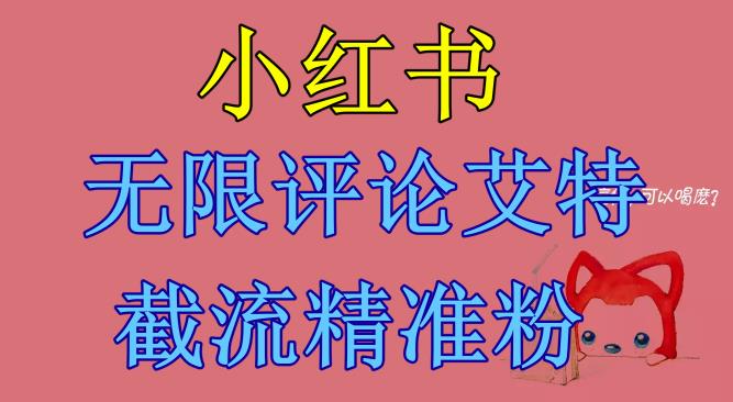 小红书无限评论艾特截流精准粉（软件+教程）-生财有道
