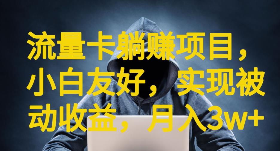 流量卡躺赚项目，小白友好，开设后台，实现被动收益，只要出卡，就能一直赚钱，利润高昂【揭秘】-生财有道