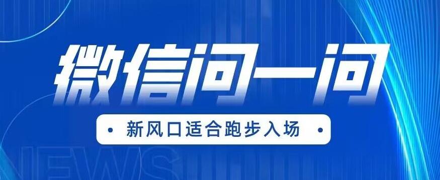 全网首发微信问一问新风口变现项目（价值1999元）【揭秘】-生财有道