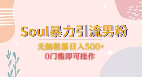 Soul暴力引流男粉玩法，无脑粗暴日入500＋，0门槛即可操作【揭秘】-生财有道