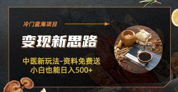 冷门蓝海项目-中医新玩法-资料免费送小白也能日入500+【揭秘】-生财有道