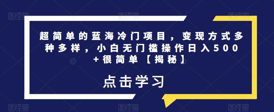 超简单的蓝海冷门项目，变现方式多种多样，小白无门槛操作日入500+很简单【揭秘】-生财有道