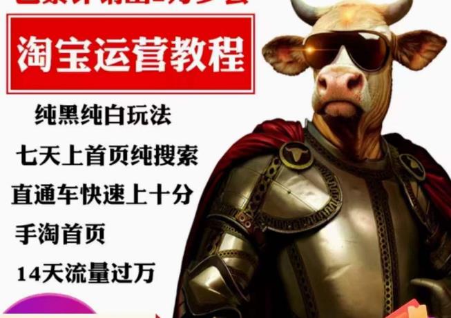 猫老师·淘系算法逆向解密，​纯黑纯白玩法，七天上首页纯搜索，手淘首页14天流量过万-生财有道