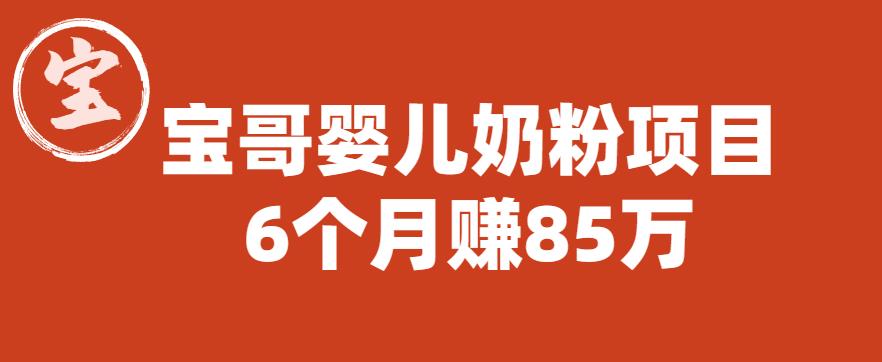 宝哥婴儿奶粉项目，6个月赚85w【图文非视频】【揭秘】-生财有道