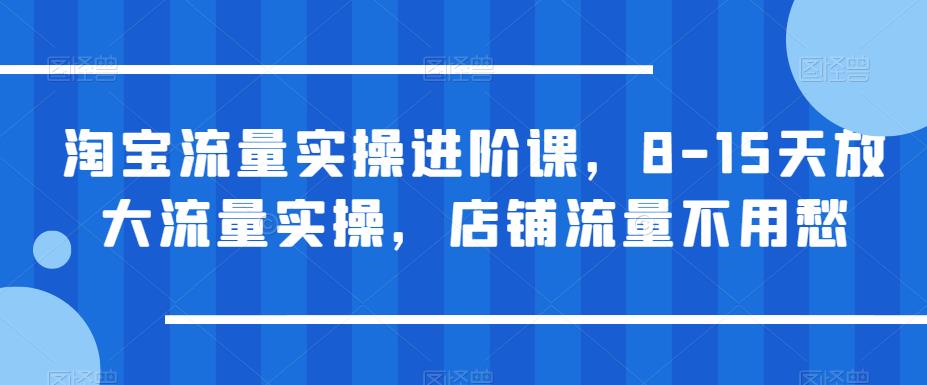 淘宝流量实操进阶课，8-15天放大流量实操，店铺流量不用愁-生财有道