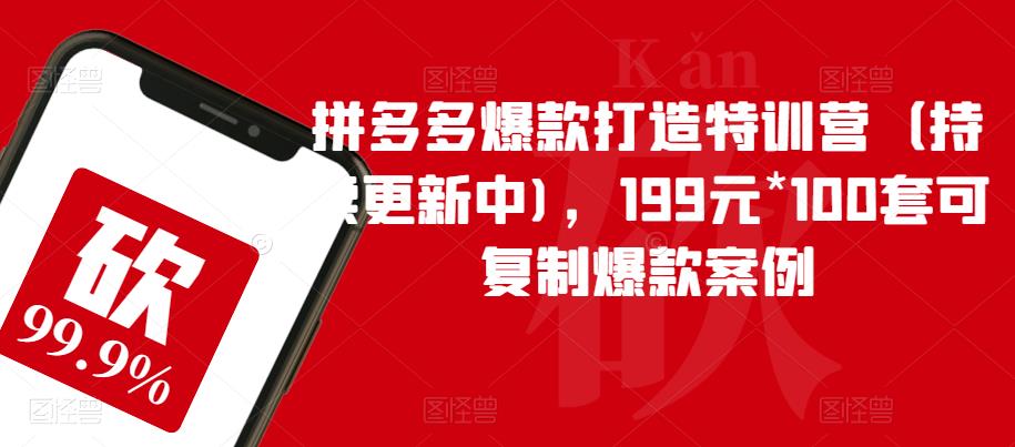 拼多多爆款打造特训营（持续更新中)，199元*100套可复制爆款案例-生财有道