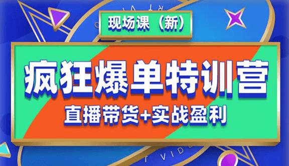 抖音短视频疯狂爆单特训营现场课（新）直播带货+实战案例-生财有道