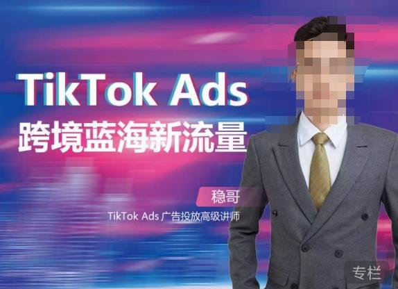 稳哥·如何投出高ROI的TikTok广告，开拓独立站卖家流量新蓝海-生财有道