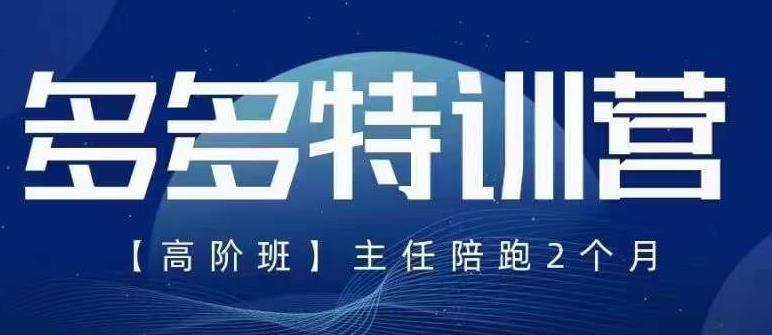 纪主任·5月最新多多特训营高阶班，玩法落地实操，多多全掌握-生财有道